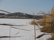 IMG_0530.JPG