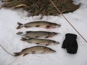 IMG_0531.JPG