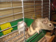 IMG_3497.jpg