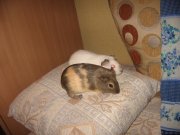 IMG_3504.jpg