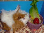 05.09.2007 083.jpg