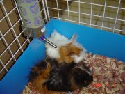 05.09.2007 085.jpg