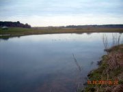 DSCN3985.JPG