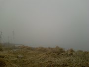Photo-0292..jpg