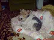 DSC00021.JPG