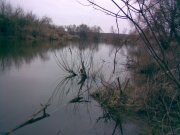 10022008(001).jpg