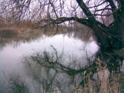 10022008.jpg