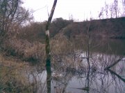10022008(005).jpg