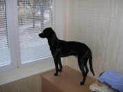 DSCN8460.jpg