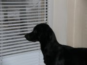 DSCN8461.jpg