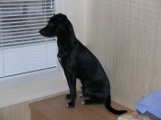 DSCN8463.JPG