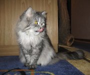 IMG_0601.JPG