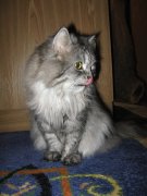 IMG_0602.JPG