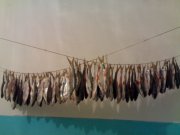 08022008633.jpg