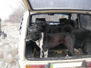 DSCN2324-без номера.jpg