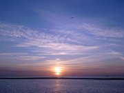 Photo-0199.jpg