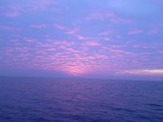 Photo-0288.jpg