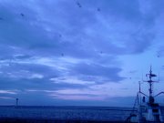 мм 039.jpg