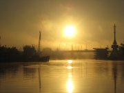 IMG_0206.jpg