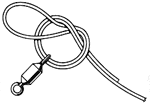 Palomar2.gif