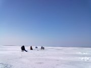 19022011366.jpg