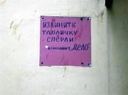 1297256179_0229.jpg