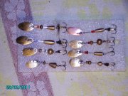 PICT3377.jpg