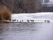 DSCF2176.jpg