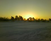 Photo-0003.jpg
