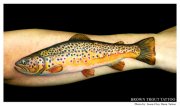 brown-trout-tattoo.jpg