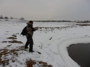 SAM_0864.jpg