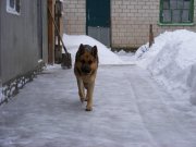 DSCF2308.jpg