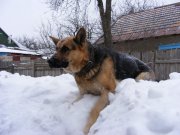 DSCF2309.jpg