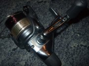 DSCF2793.jpg