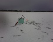 IMG0012A.jpg