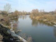DSC00202.jpg