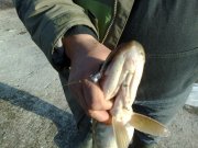 12032011427.jpg