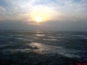 DSC01546.jpg