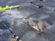 DSC03074.JPG