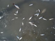 4.03.2011.-4.jpg