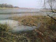 Пустое-нерестилище.-14.03.2.jpg
