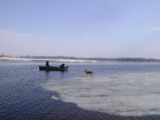 DSC05886_thumb.jpg
