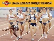 13005560096200240.jpg