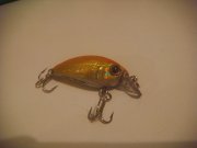 DSC05432.jpg