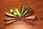 DSCF5261.jpg