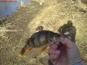 DSC00783.JPG