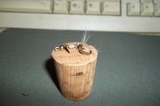 2011.03.24_100_0162.jpg