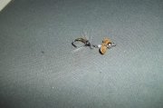 2011.03.24_100_0174.jpg