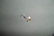2011.03.24_100_0176.jpg