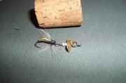 2011.03.24_100_0178.jpg